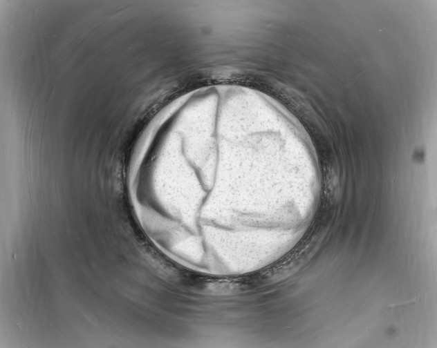 X0000098230470200805221715