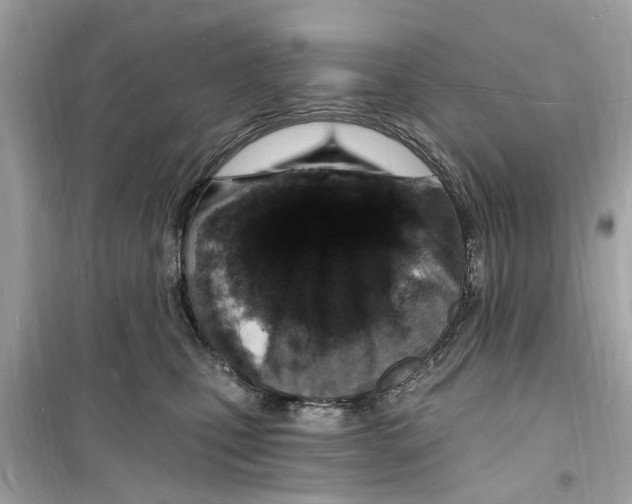 X0000098230471200805221715