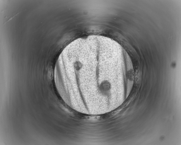 X0000098230474200805221715