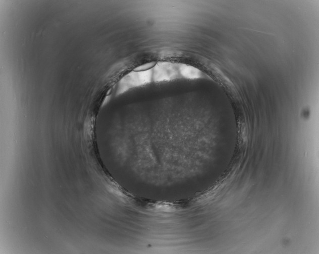 X0000098230475200805221715