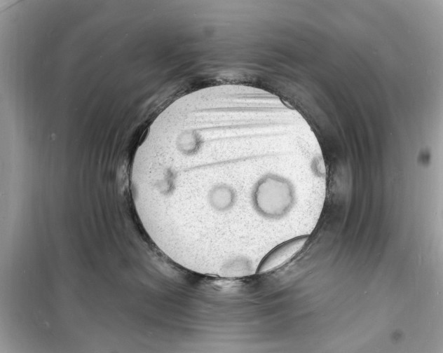 X0000098230478200805221715