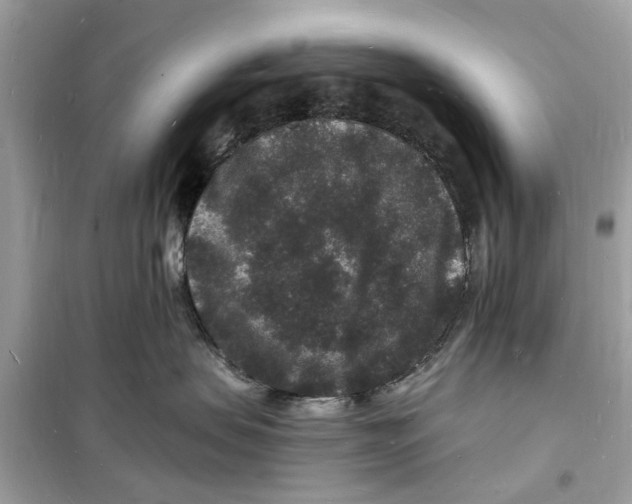 X0000098230479200805221715