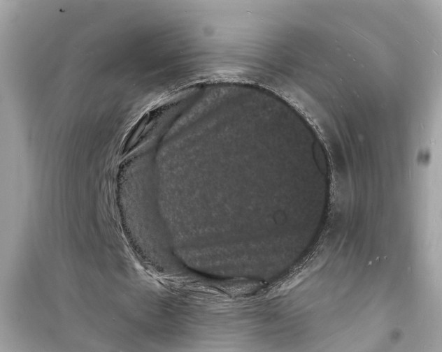 X0000098230481200805221714