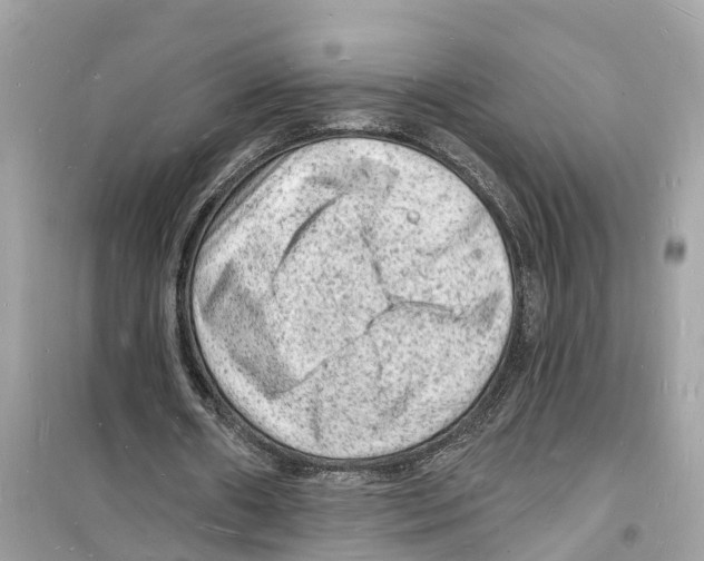 X0000098230482200805221714