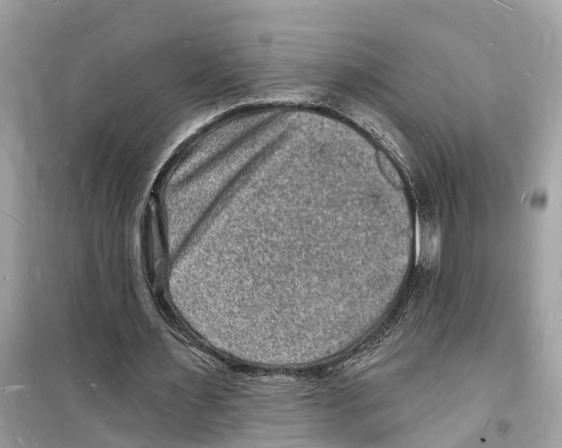 X0000098230483200805221714