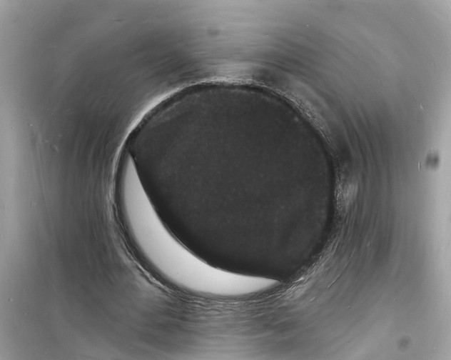 X0000098230484200805221714