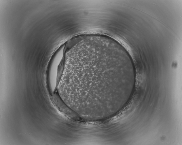 X0000098230485200805221714