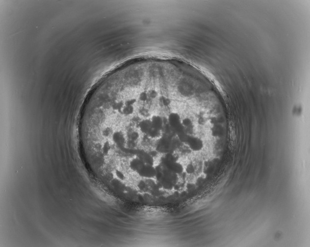 X0000098230487200805221714