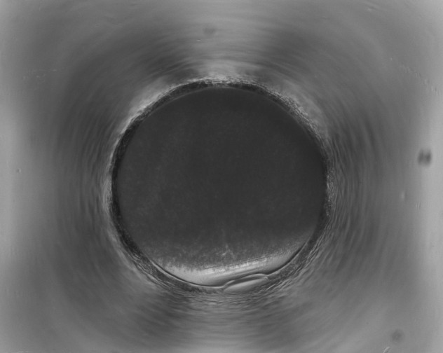 X0000098230488200805221714