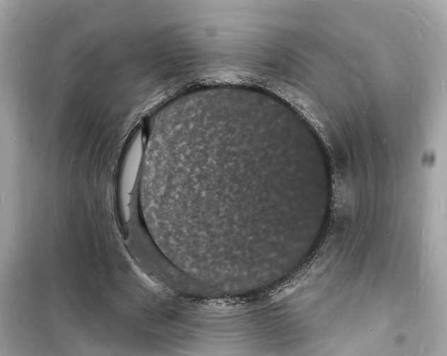 X0000098230489200805221714