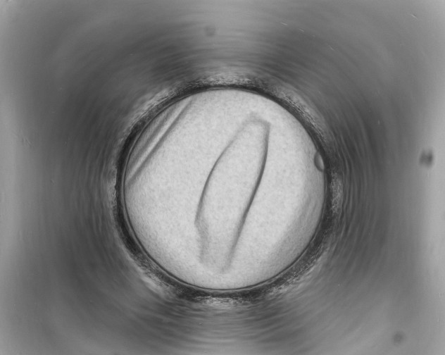 X0000098230490200805221714