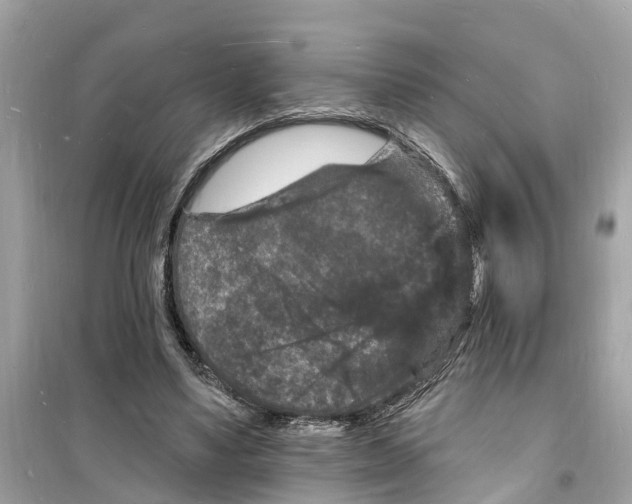 X0000098230491200805221714