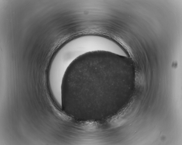 X0000098230493200805221714