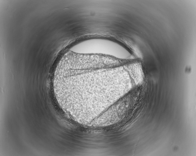 X0000098230495200805221714