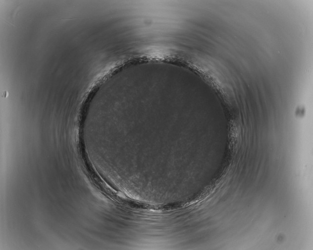 X0000098230496200805221714