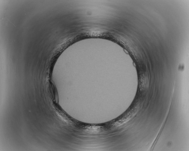 X0000098230497200805221714