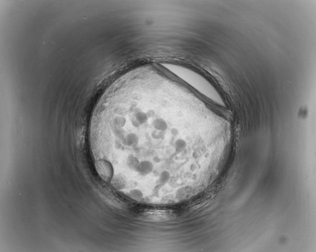 X0000098230499200805221714