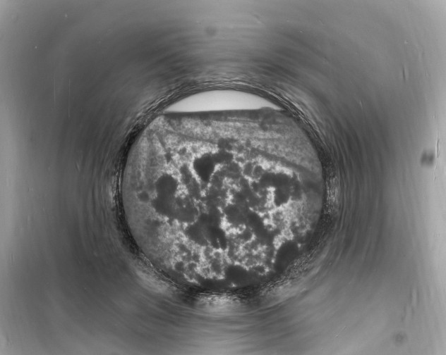 X0000098230503200805221714