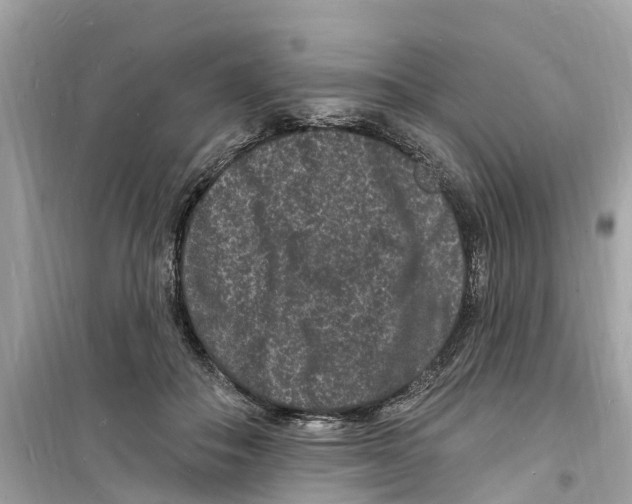 X0000098230506200805221714