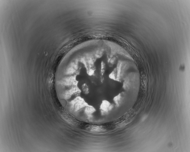 X0000098230507200805221714