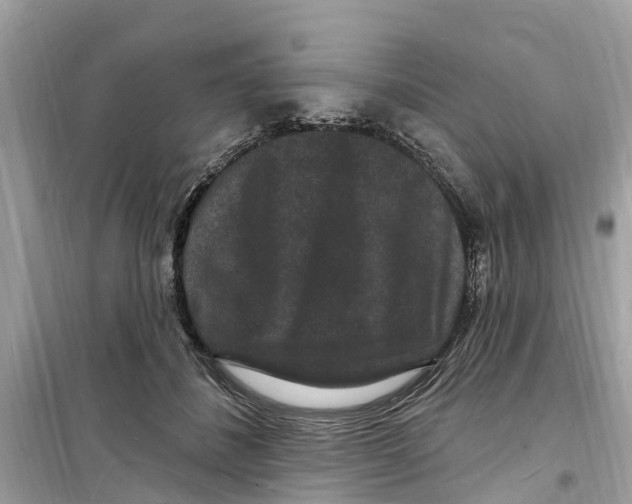 X0000098230508200805221714