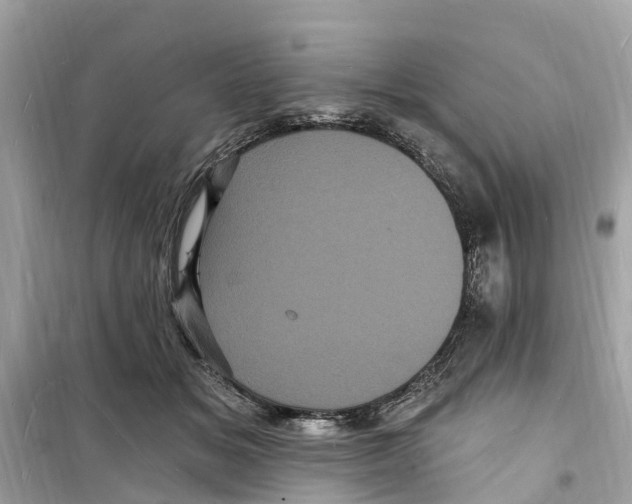 X0000098230509200805221714