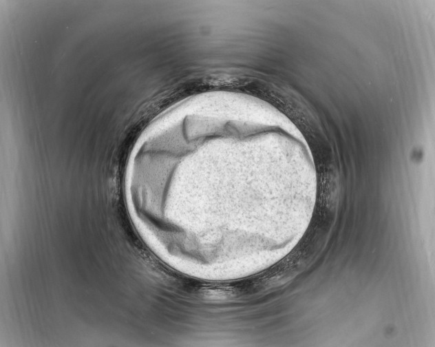 X0000098230510200805221713