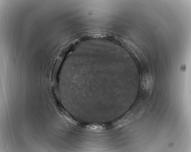 X0000098230512200805221713