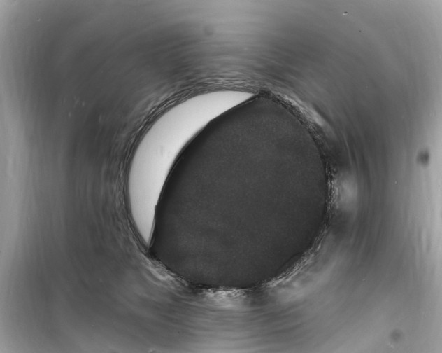 X0000098230517200805221713