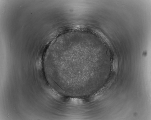 X0000098230520200805221713