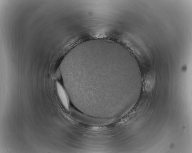 X0000098230521200805221713