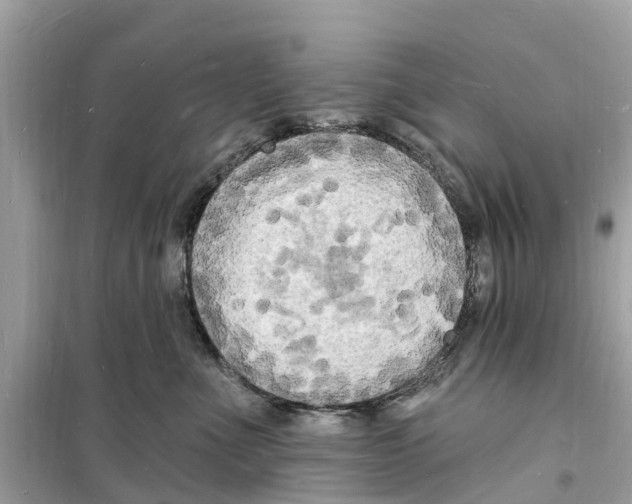 X0000098230523200805221713