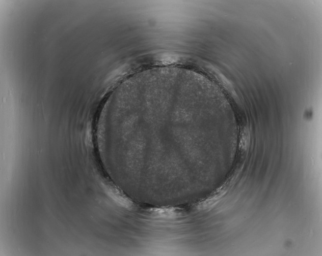 X0000098230524200805221713