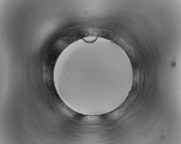 X0000098230526200805221713