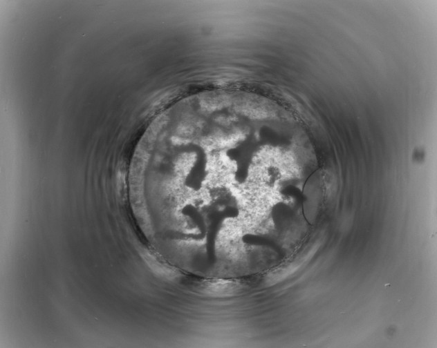 X0000098230527200805221713