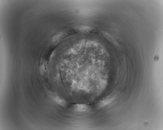 X0000098230528200805221713