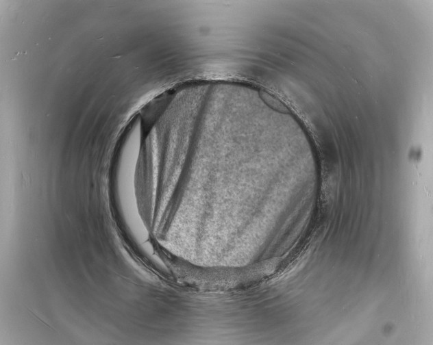 X0000098230530200805221713