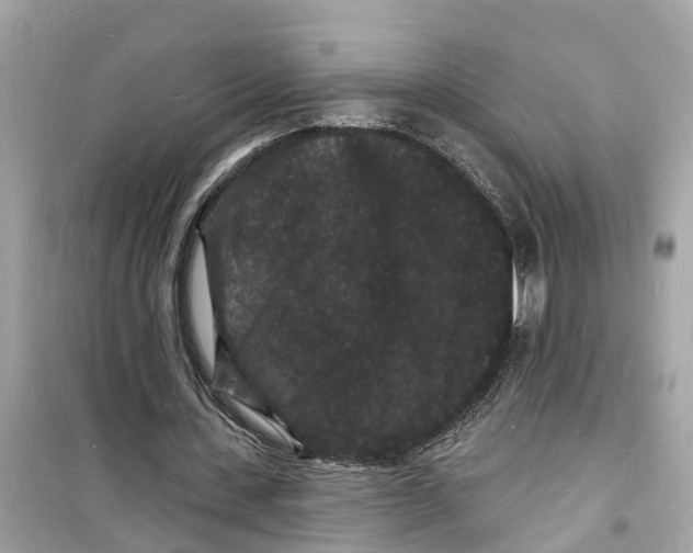 X0000098230531200805221713