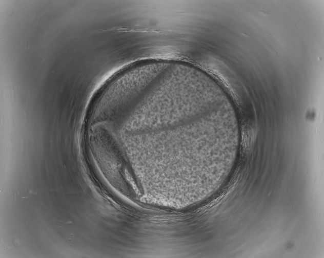 X0000098230532200805221713