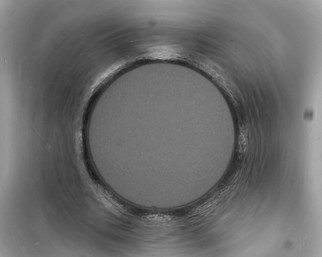 X0000098230535200805221713