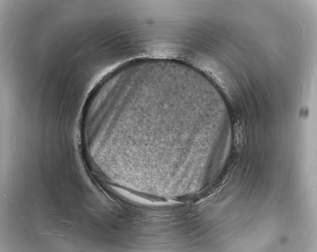 X0000098230536200805221713