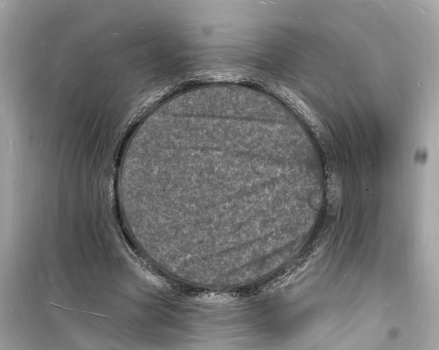 X0000098230537200805221713