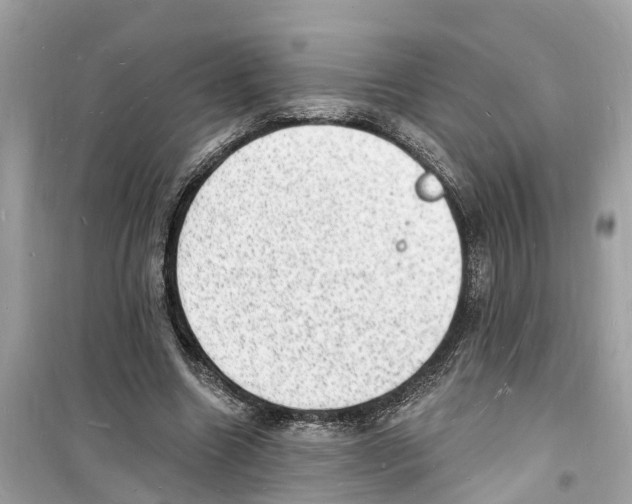 X0000098230538200805221713