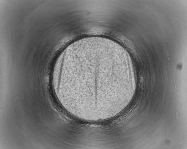 X0000098230539200805221713