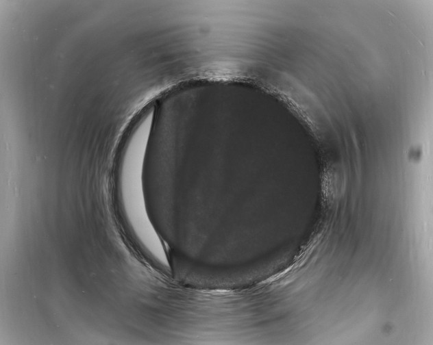 X0000098230540200805221713