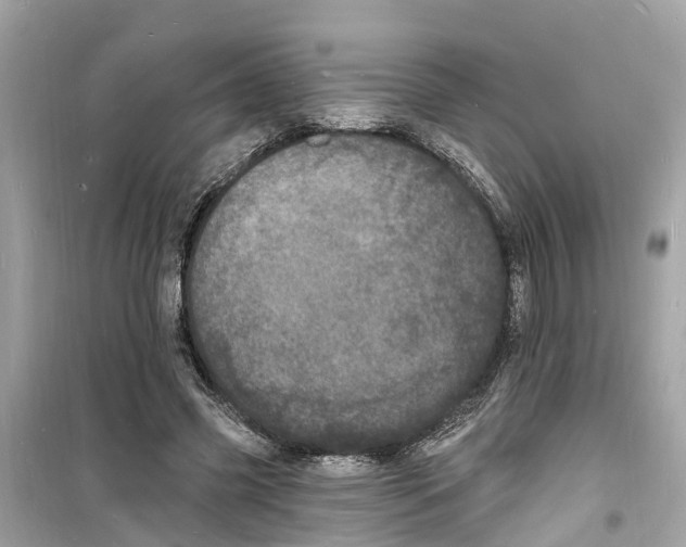 X0000098230541200805221713