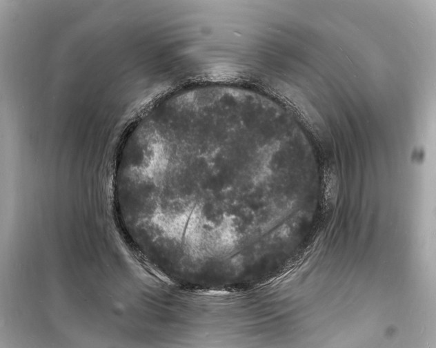 X0000098230542200805221713