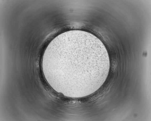 X0000098230543200805221713