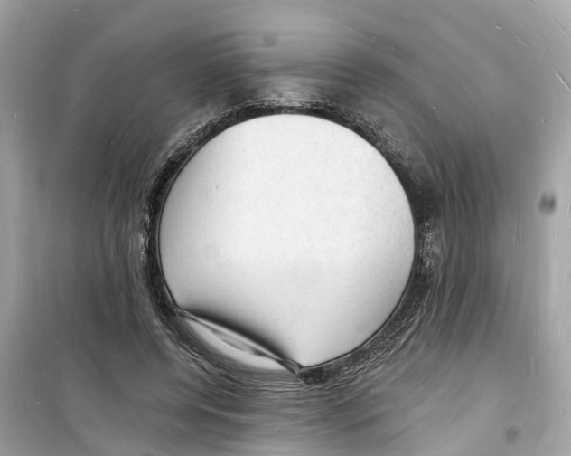 X0000098230544200805221713