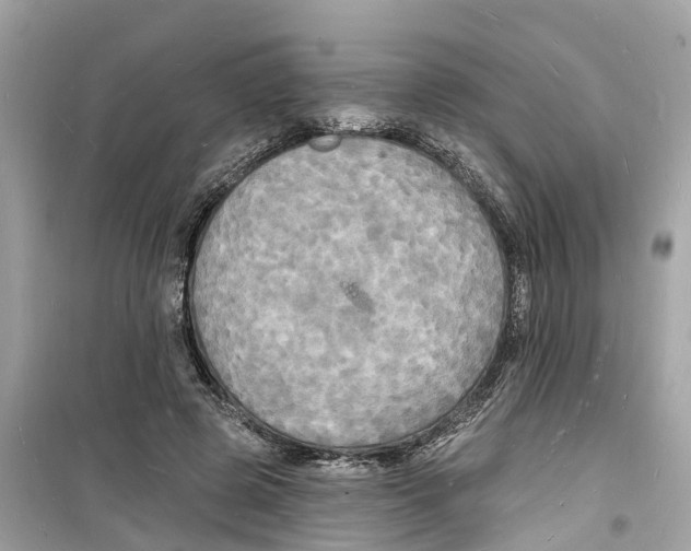 X0000098230545200805221713